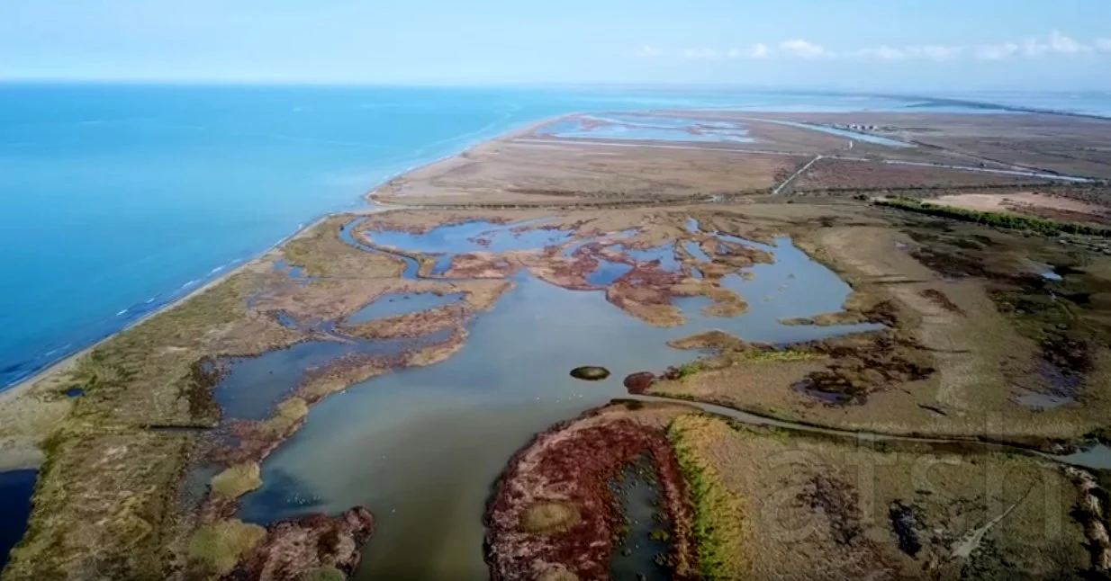 Let’s Make Divjaka Natural Again