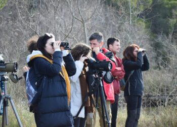 Forumi i parë i Zonave të Mbrojtura në Shqipëri për një menaxhim më efektiv të zonave të mbrojtura