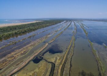 Fitohet beteja e parë në gjykatë për legjitimimin për të kundërshtuar gjyqësisht VKM që zvogëluan sipërfaqe nga Zonat e Mbrojtura, pasuri kombëtare.