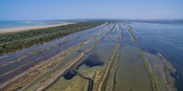 Fitohet beteja e parë në gjykatë për legjitimimin për të kundërshtuar gjyqësisht VKM që zvogëluan sipërfaqe nga Zonat e Mbrojtura, pasuri kombëtare.