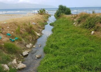 Kur Qeveria s’ka ç’ti bëjë gomerëve të Bashkisë për trajtimin e ujërave të ndotur dhe i bie samarëve të sipërmarrësve të rregullt