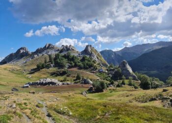 Ekspertët biologë i vënë vulën çështjes së parqeve kombëtare, shkenca është shpërfillur nga qeveria