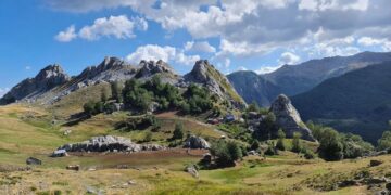 Ekspertët biologë i vënë vulën çështjes së parqeve kombëtare, shkenca është shpërfillur nga qeveria