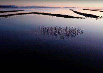 Seanca gjyqësore për Parqet Natyrore: Pala e paditur e administratës shtetërore gjendet pa prova përpara gjykatës