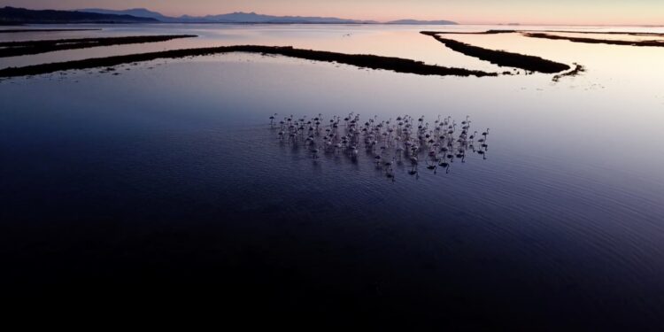 Seanca gjyqësore për Parqet Natyrore: Pala e paditur e administratës shtetërore gjendet pa prova përpara gjykatës