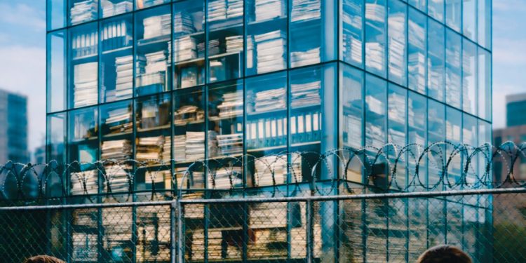 E drejta e informimit 2025: Transparencë në vitrinë. Po në praktikë?